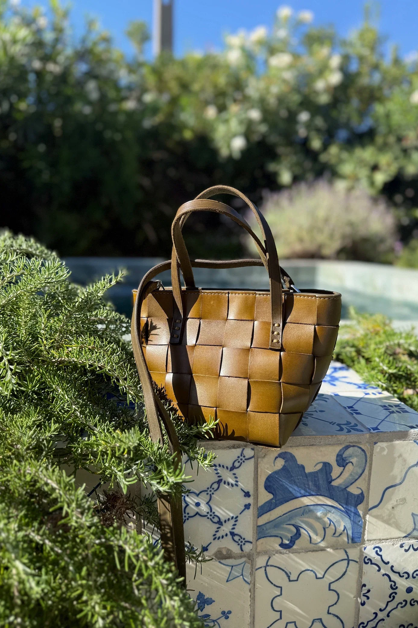 Japan Mini Bamboo Green - Image 5